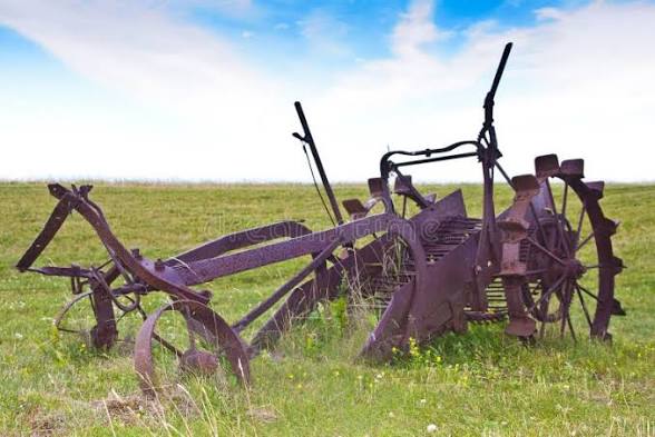 Plough rental in Soil preparation equipment category